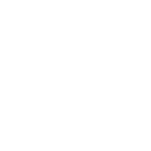icons8-news-500 (1)